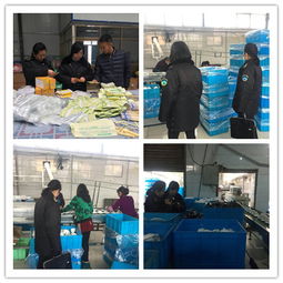 平川區(qū)衛(wèi)生監(jiān)督所開展節(jié)前消毒產(chǎn)品和餐飲具集中消毒專項(xiàng)檢查活動(dòng)